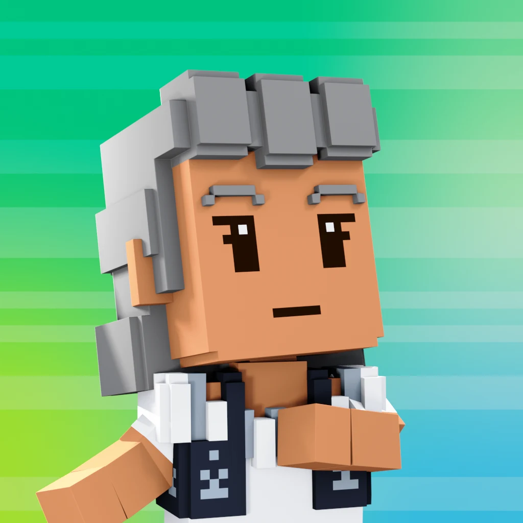 Pirate #1009 voxel render