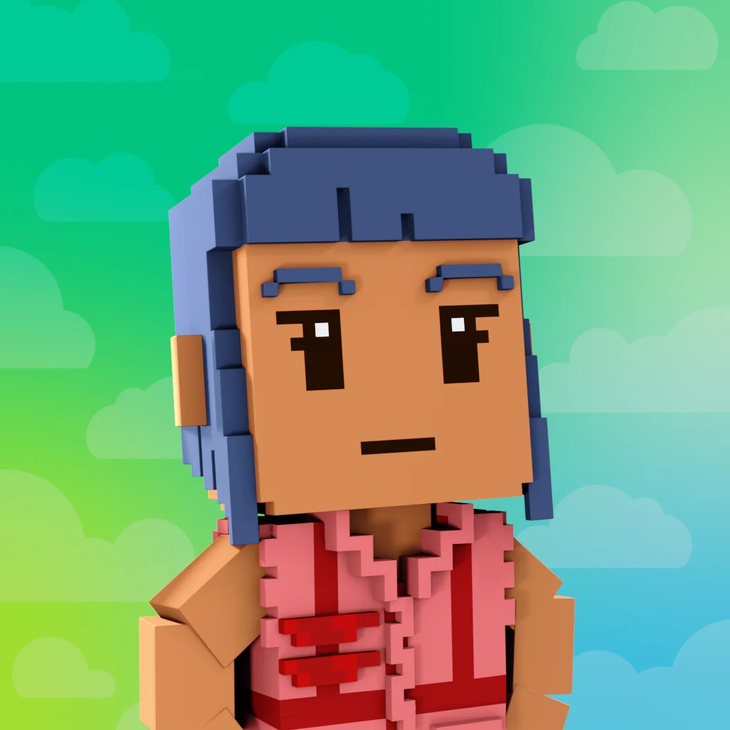Pirate #1242 voxel render