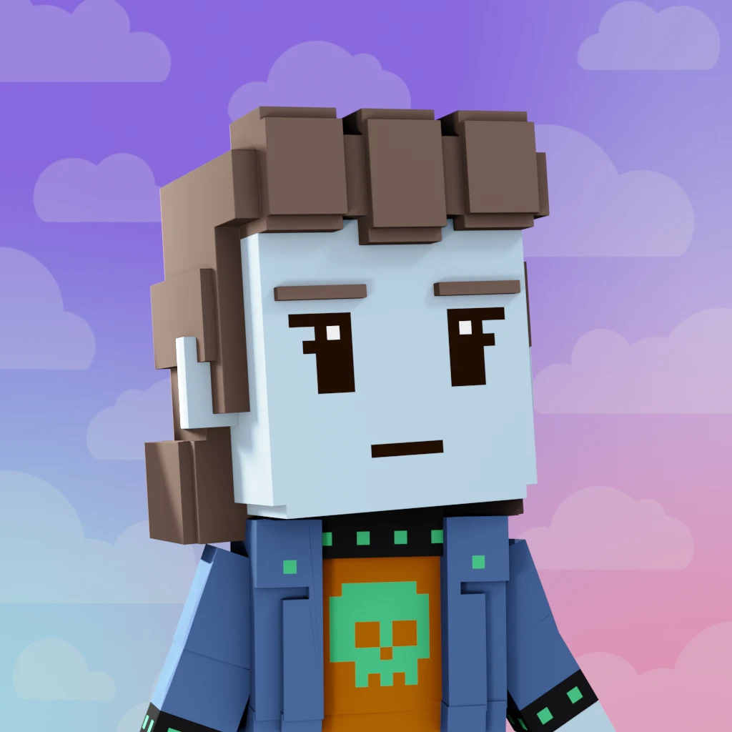 Pirate #1371 voxel render