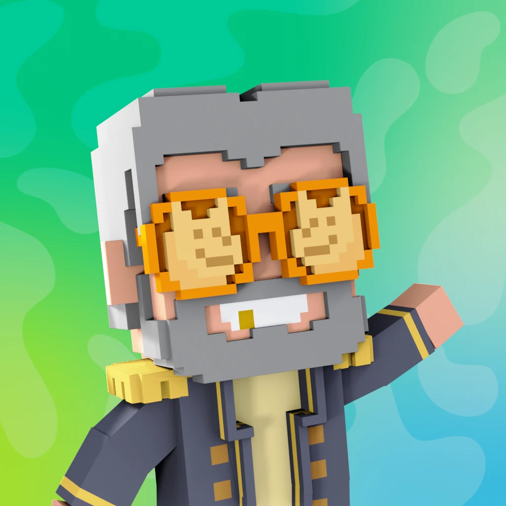 Pirate #309 voxel render