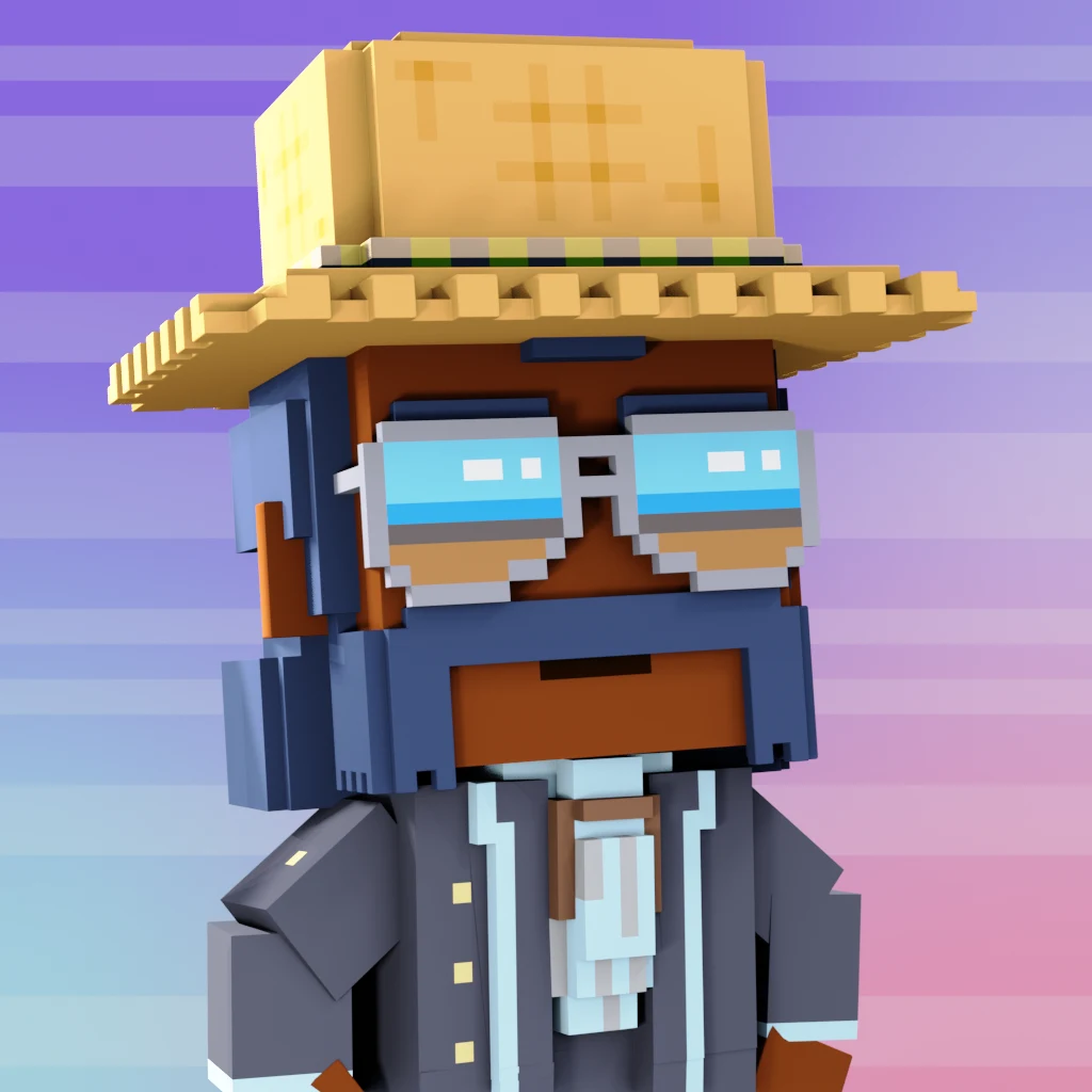 Pirate #3341 voxel render