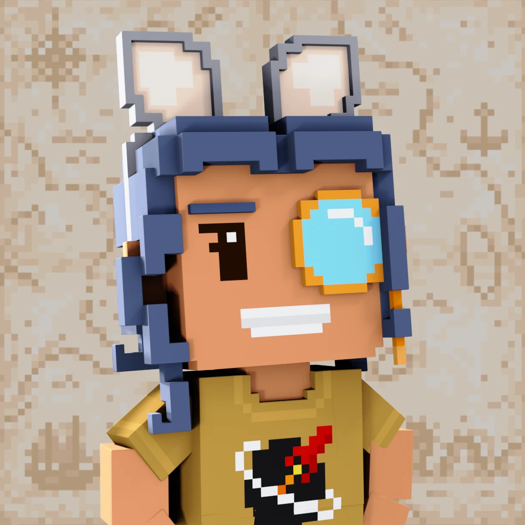 Pirate #3347 voxel render