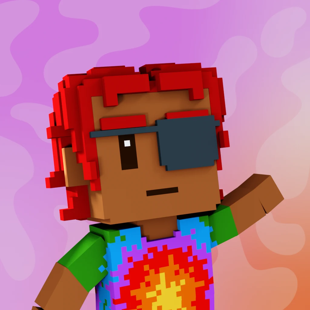 Pirate #4163 voxel render