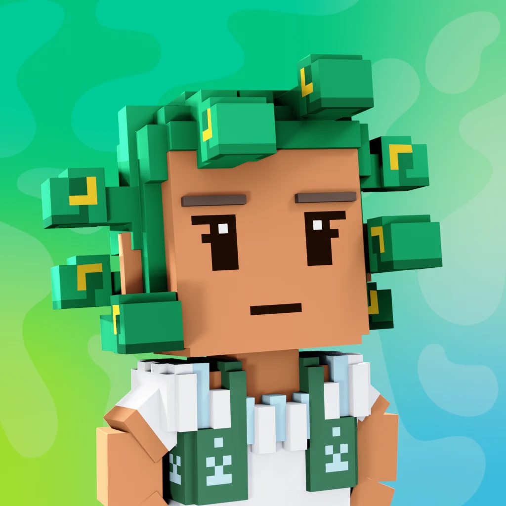 Pirate #4312 voxel render