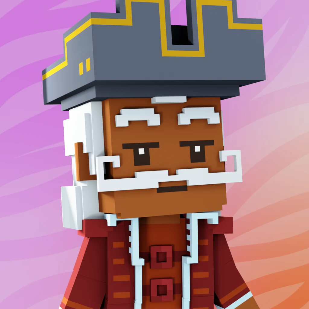 Pirate #4396 voxel render