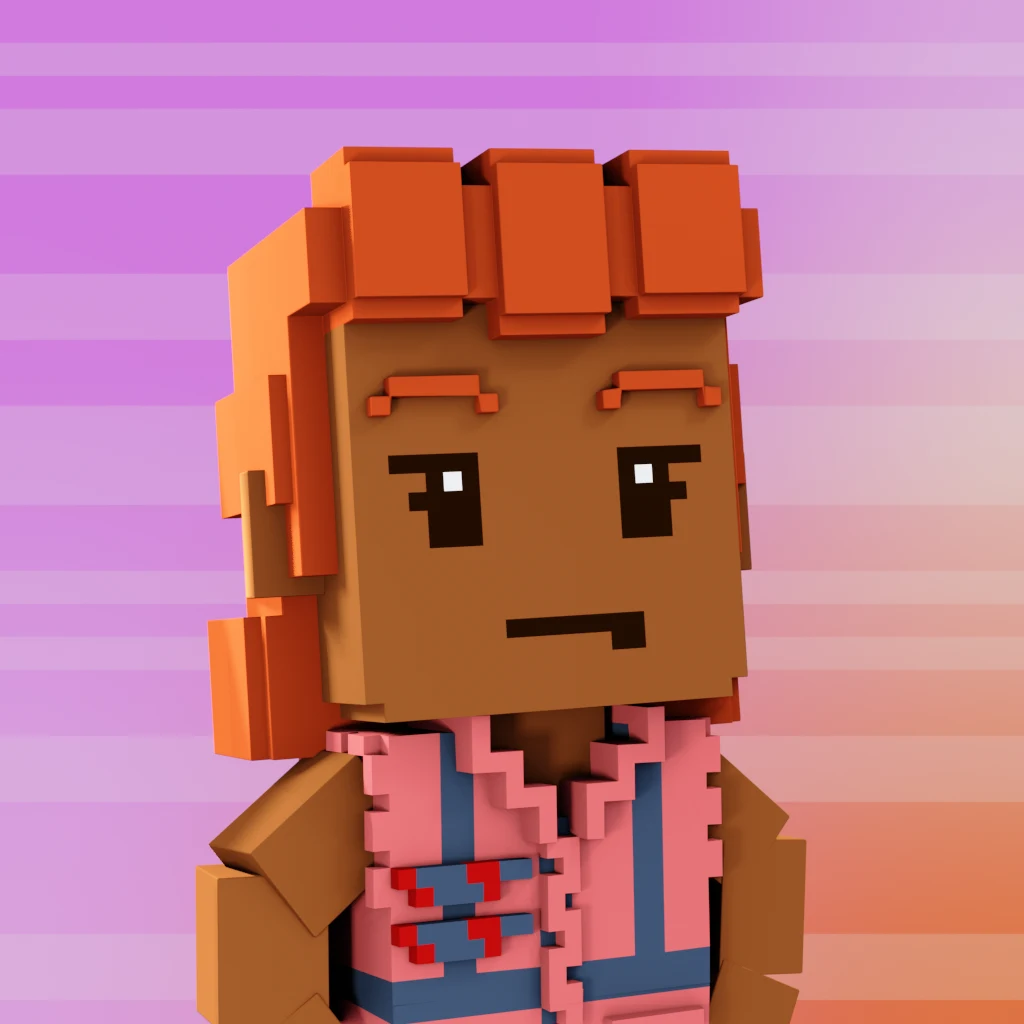 Pirate #4678 voxel render