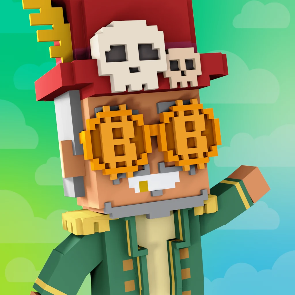 Pirate #4855 voxel render