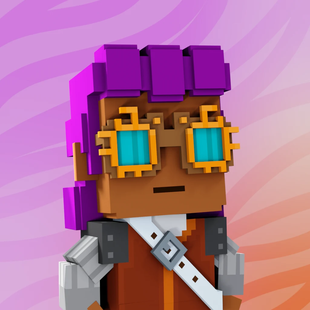 Pirate #4876 voxel render