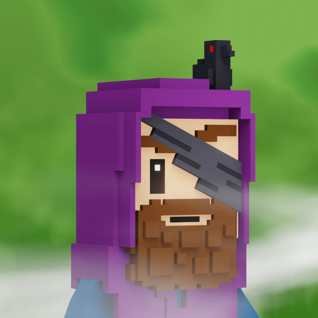 Pirate #4918 voxel render