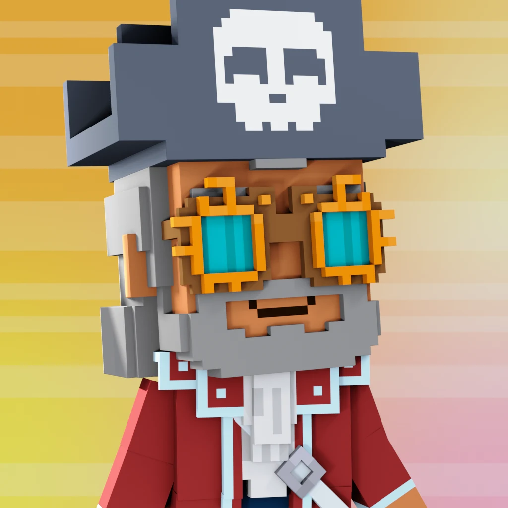 Pirate #4976 voxel render