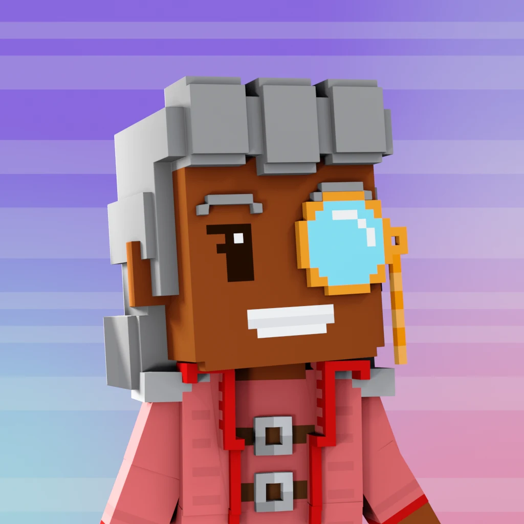 Pirate #5169 voxel render