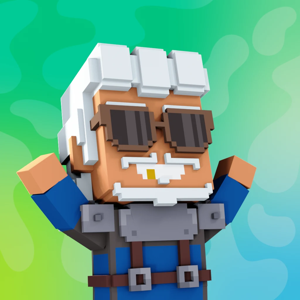 Pirate #5304 voxel render