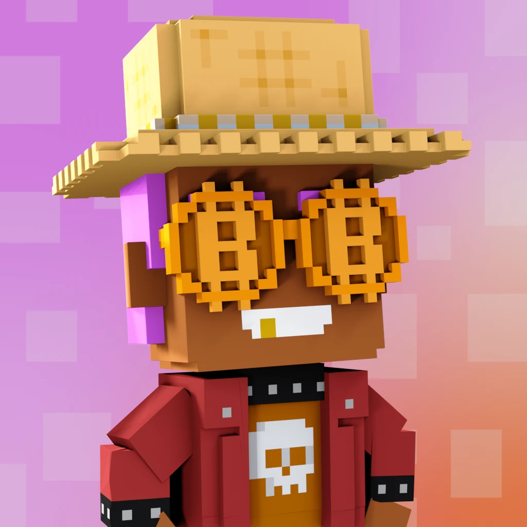 Pirate #6149 voxel render