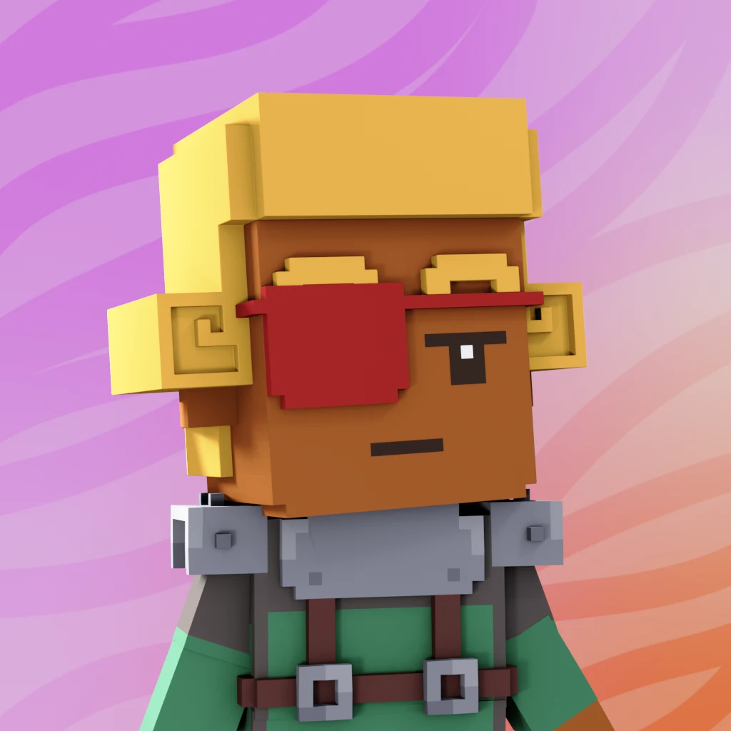Pirate #6793 voxel render