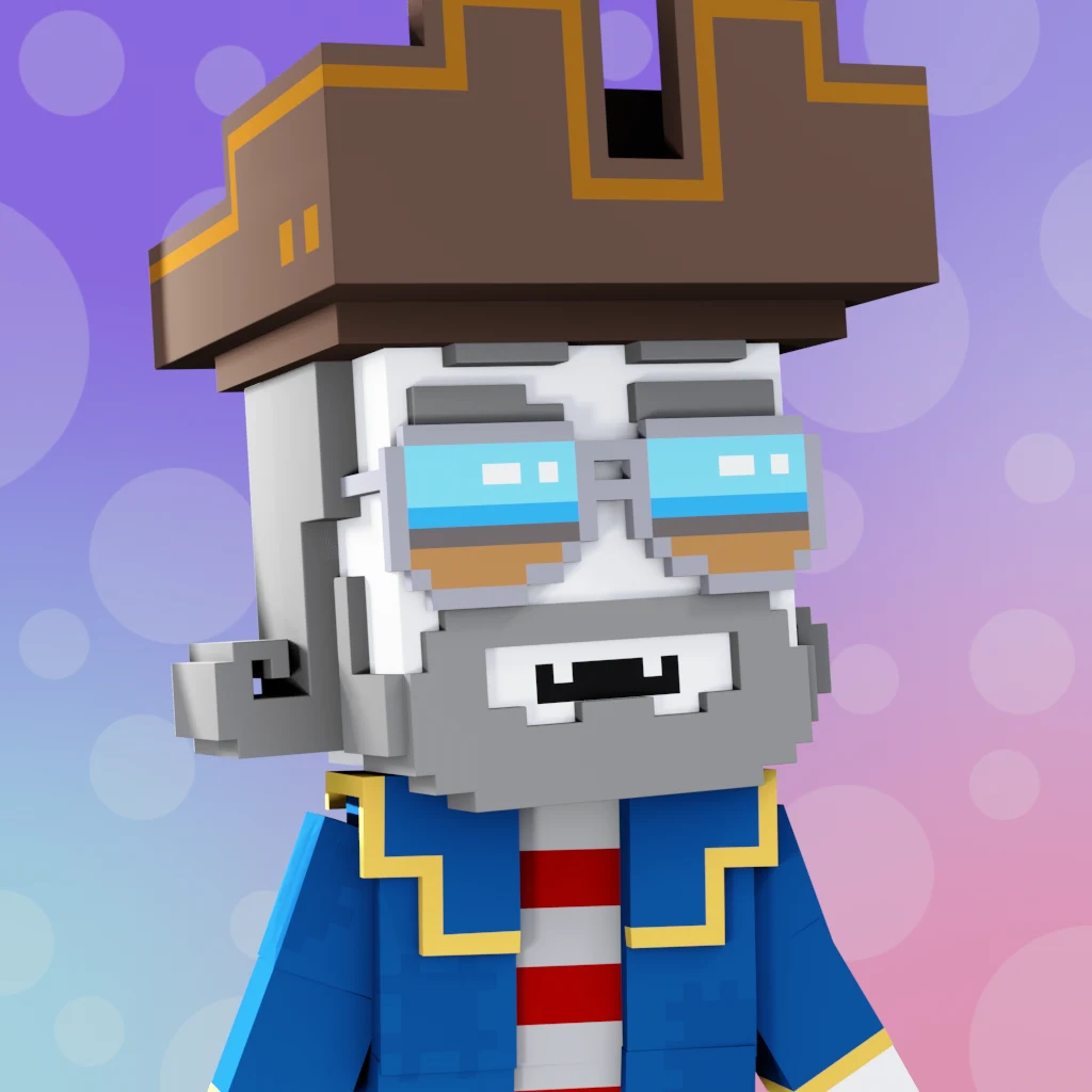 Pirate #6863 voxel render