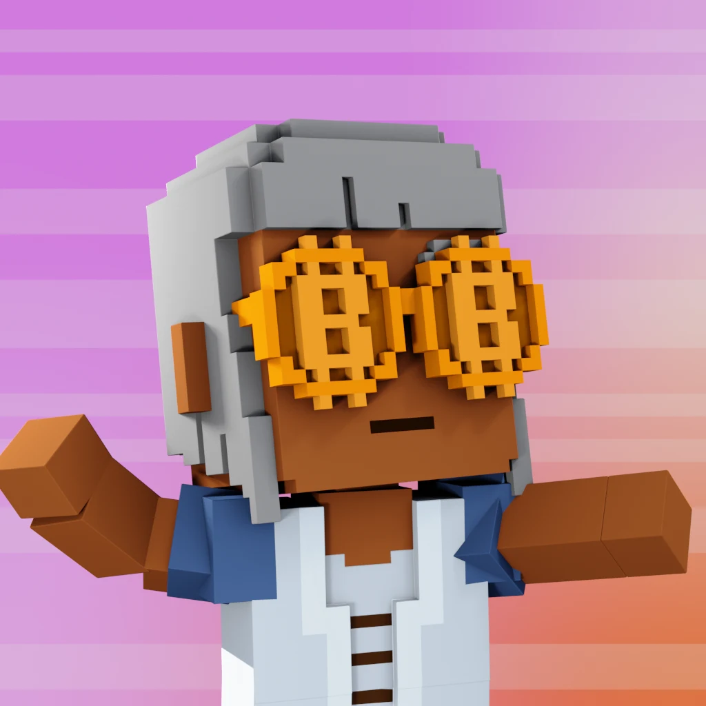 Pirate #691 voxel render