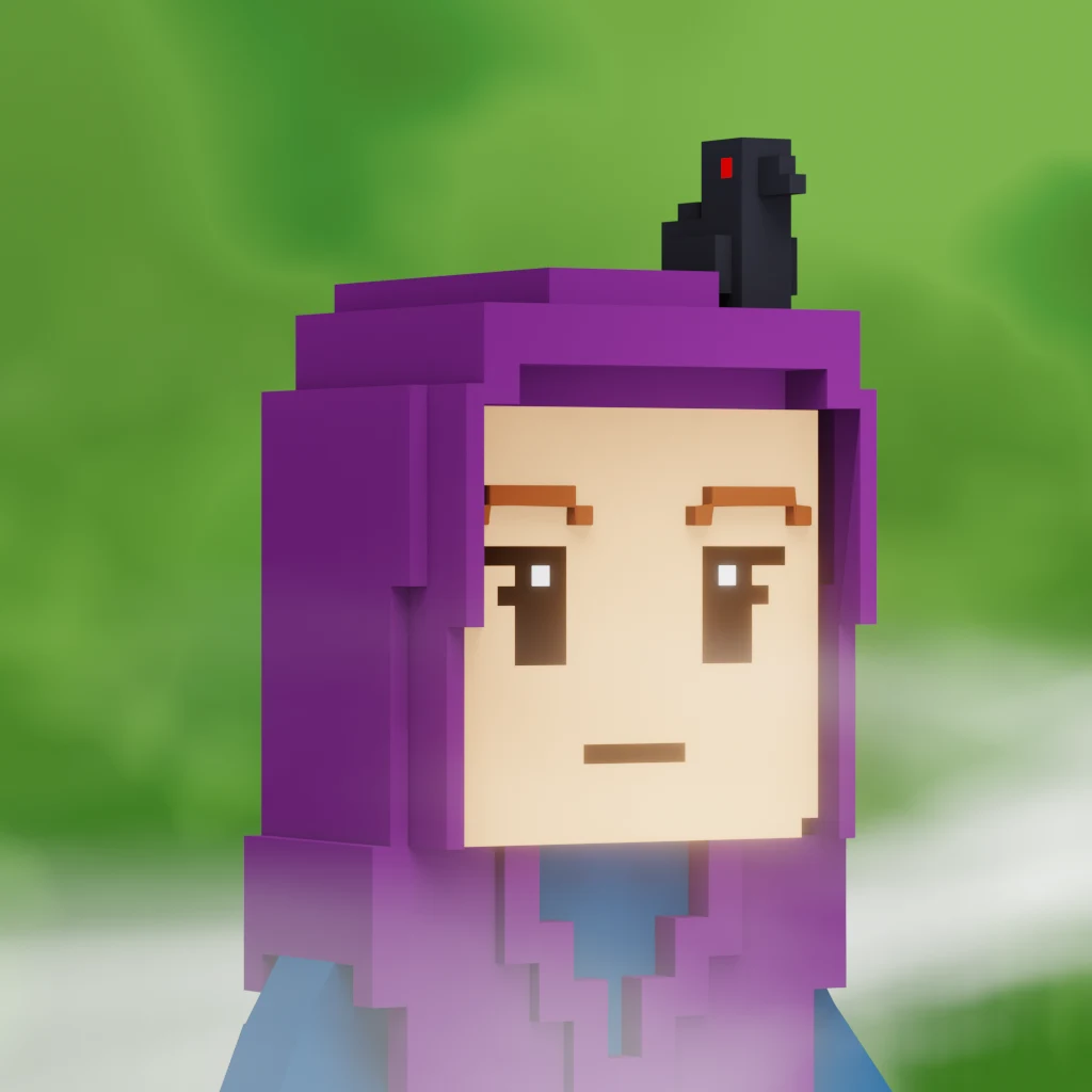 Pirate #8029 voxel render