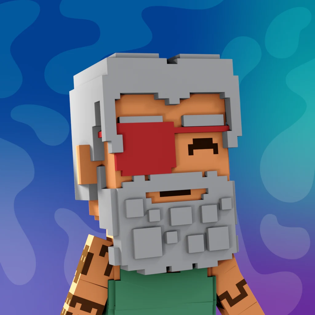 Pirate #8443 voxel render