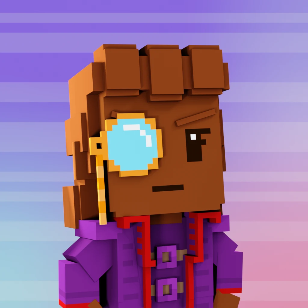 Pirate #8488 voxel render