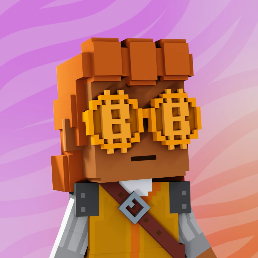 Pirate #8692 voxel render
