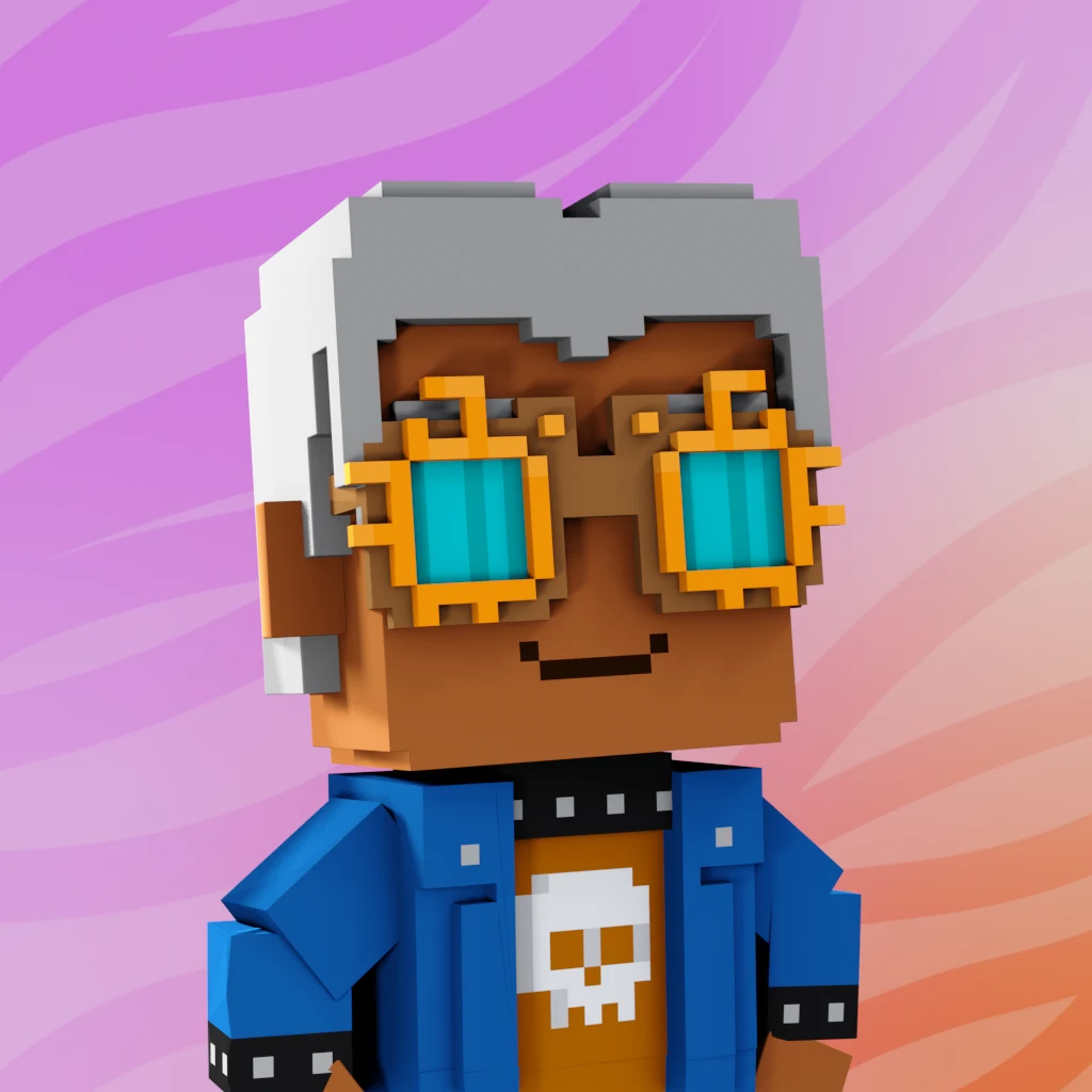 Pirate #9000 voxel render