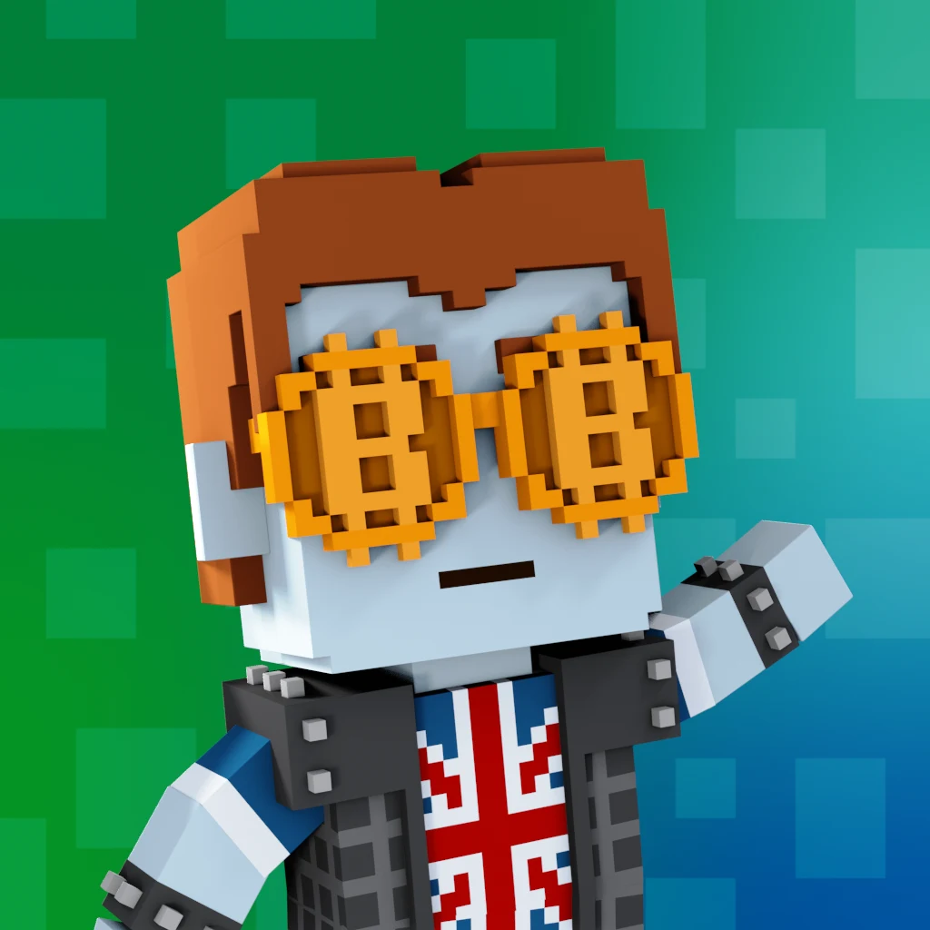 Pirate #9197 voxel render