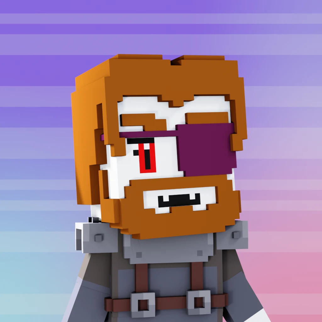 Pirate #9518 voxel render
