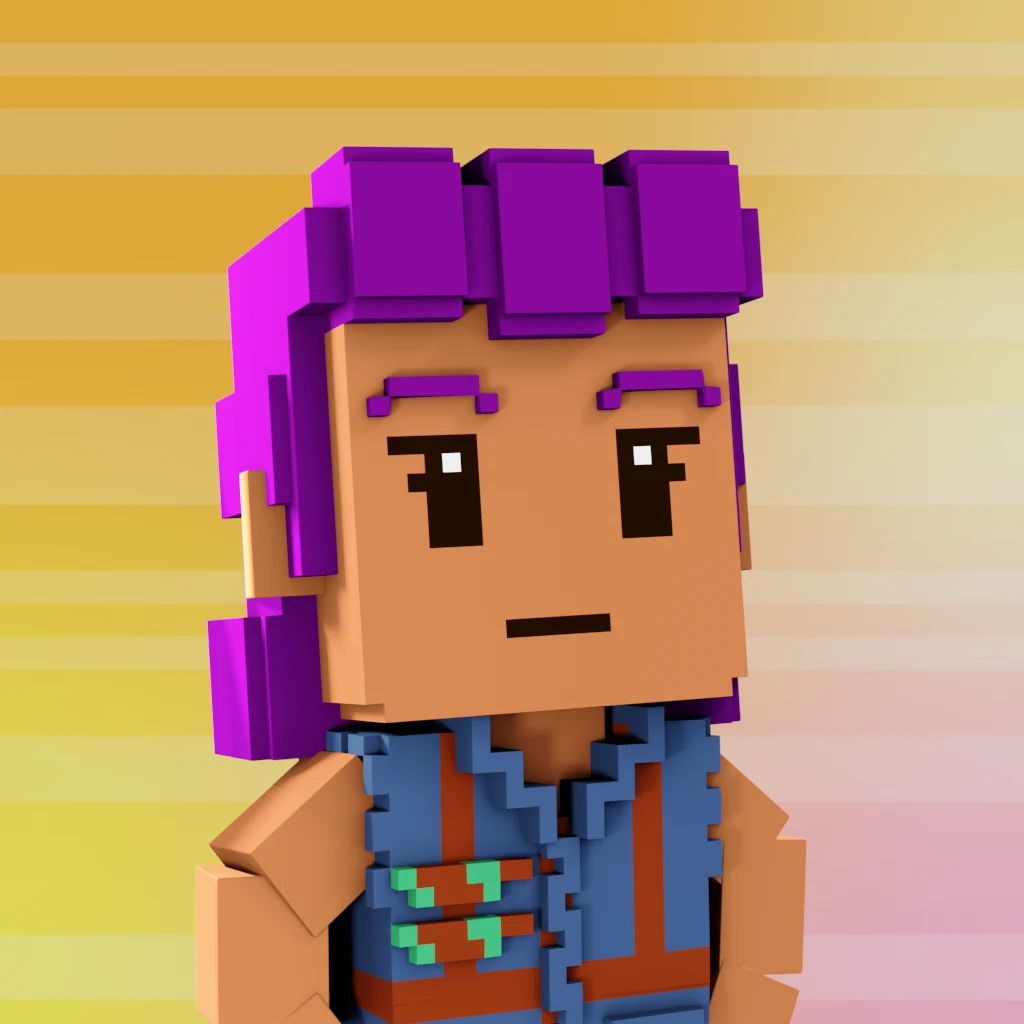 Pirate #9524 voxel render