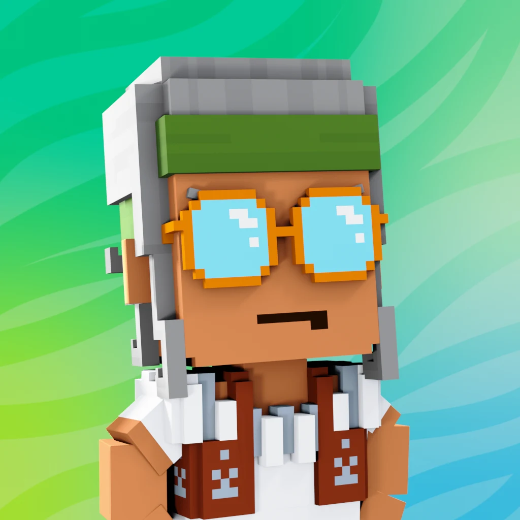 Pirate #9566 voxel render