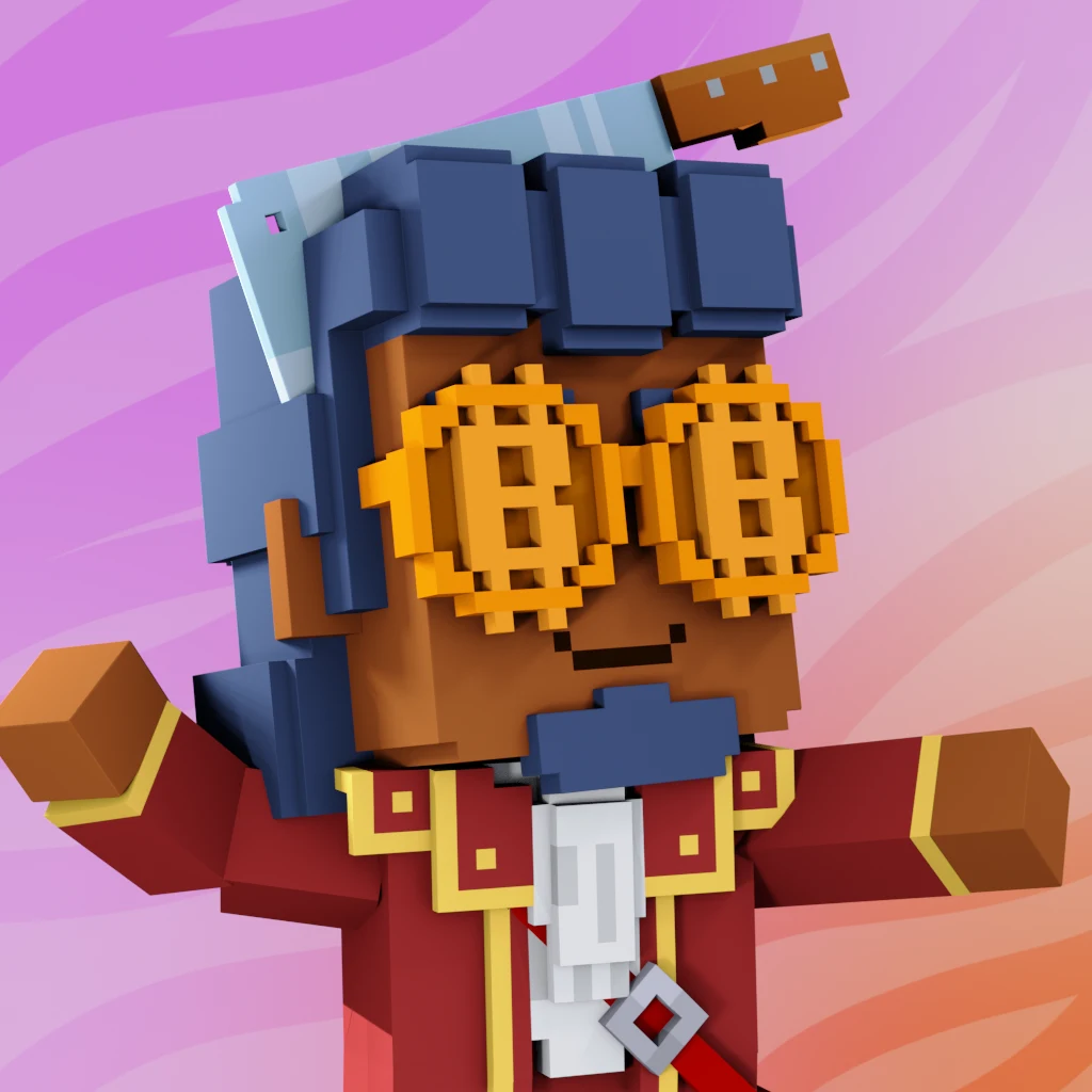 Pirate #9618 voxel render