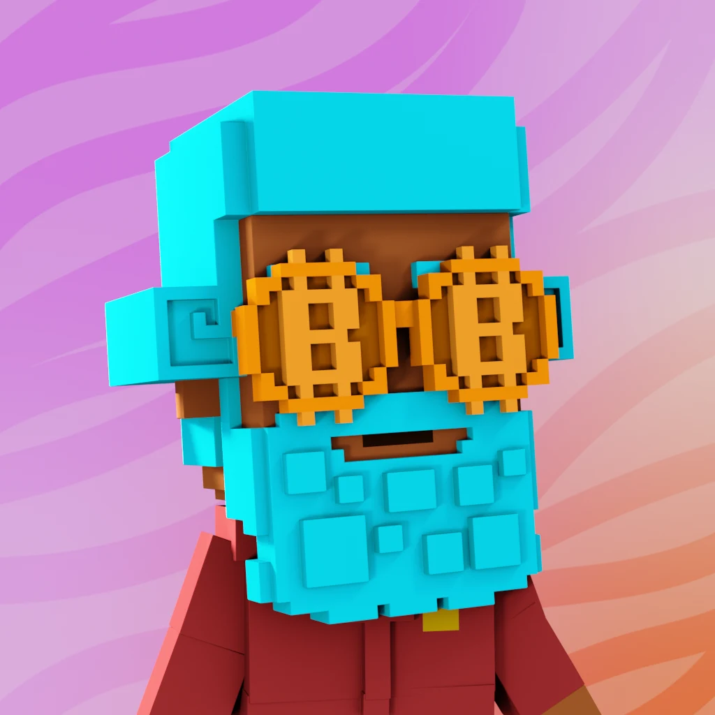 Pirate #9892 voxel render