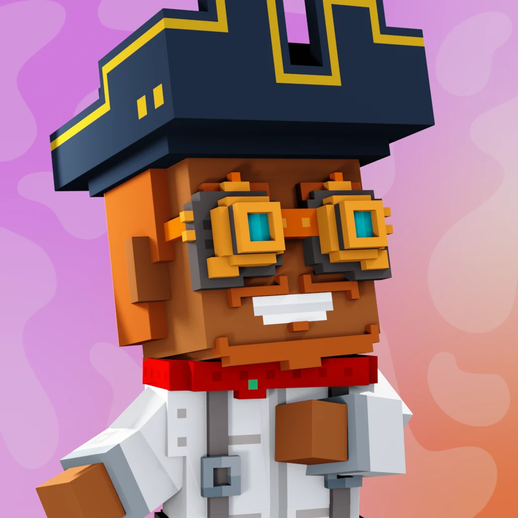Pirate #9927 voxel render